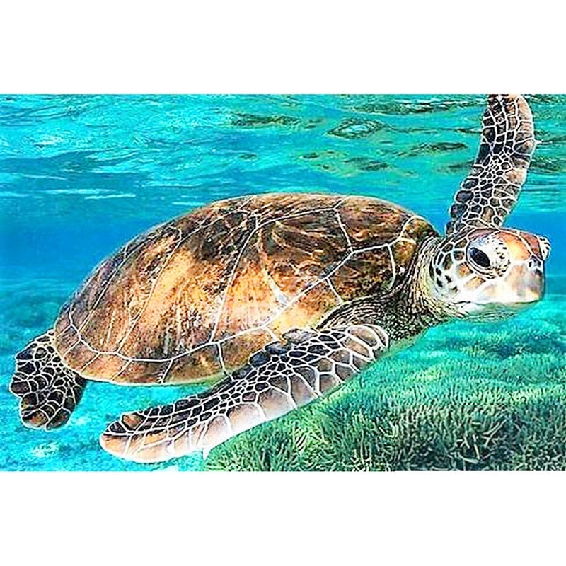Turtle Swim - Diamond Painting Kit